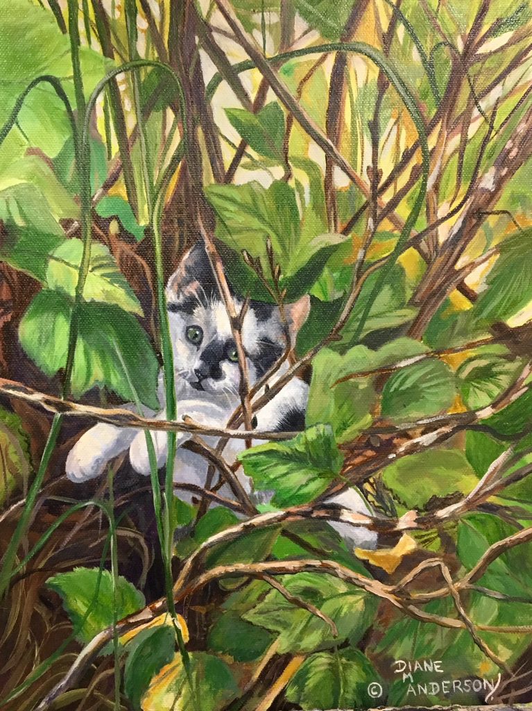 A Shady Spot original oil painting by Canadian artist Diane M Anderson