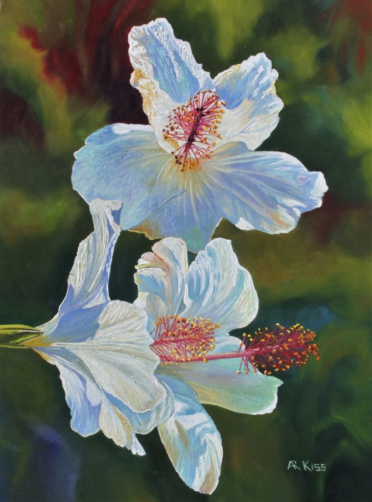 White Hibiscus original oil painting on canvas by Artists On Tour Canadian artist Andrew Kiss